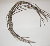���� Dry Fly (��� ����� ���) 10 �� ������  , ������ � 18-22